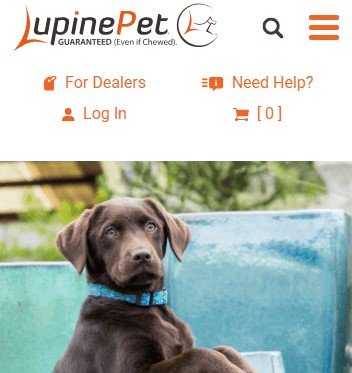 Exceptional Collars Leashes and Gear for Dogs and Cats